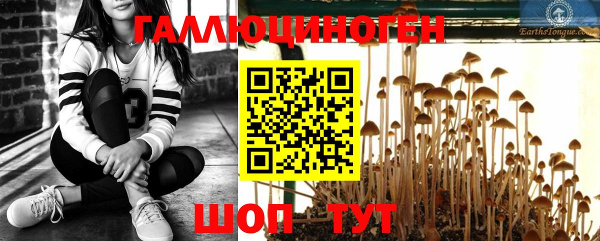 Балаково  Галлюциногенные грибы ЛСД  Вход с VPN 